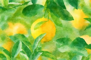 comment-je-suis-devenue-multi-family-office